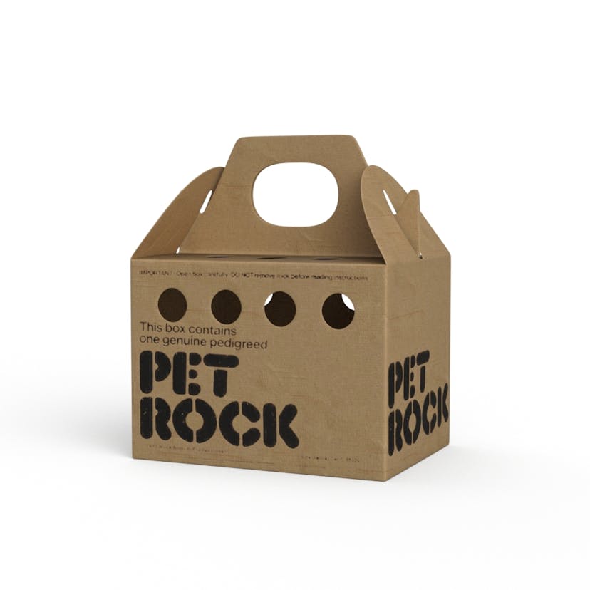 Pet-rock-package